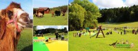 /album/fotogalerie-farma-park-sobehrdy/farmapark-sobehrdy2-jpg/